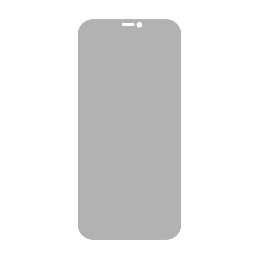 Protecteur d'écran de confidentialité en verre trempé iPhone 13 Pro